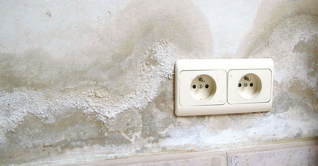 Humidité ascenscionnelle