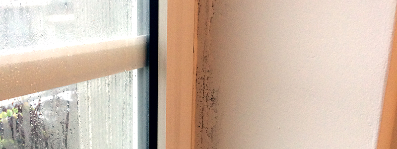 Condensation mur